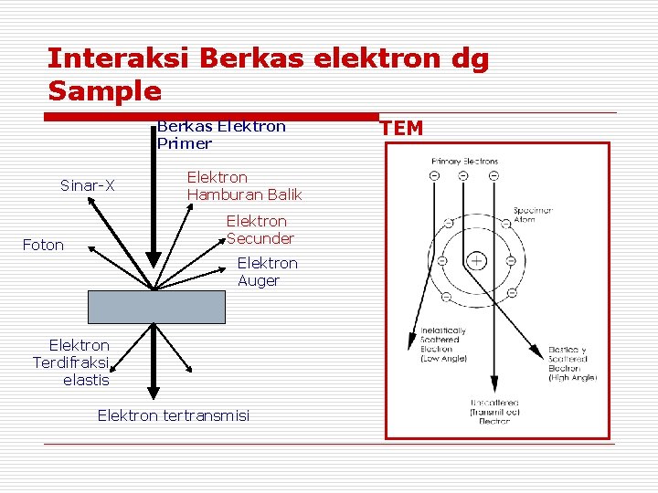 Interaksi Berkas elektron dg Sample Berkas Elektron Primer Sinar-X Elektron Hamburan Balik Elektron Secunder Interaksi Berkas elektron dg Sample Berkas Elektron Primer Sinar-X Elektron Hamburan Balik Elektron Secunder