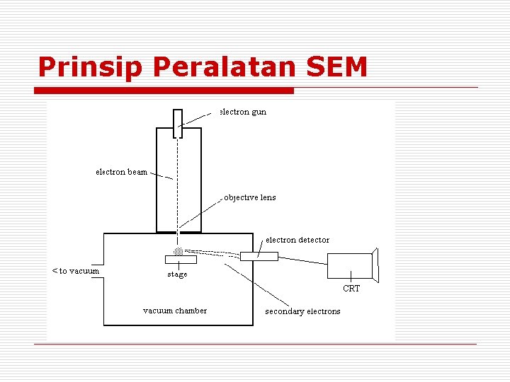 Prinsip Peralatan SEM Prinsip Peralatan SEM