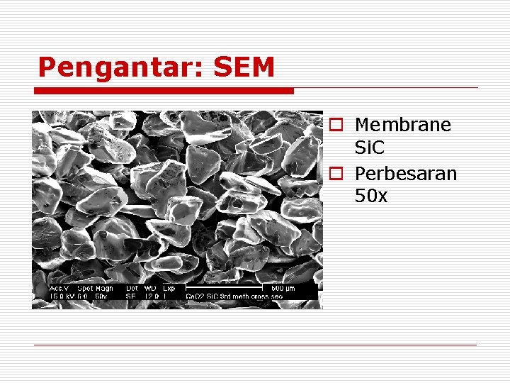 Pengantar: SEM o Membrane Si. C o Perbesaran 50 x Pengantar: SEM o Membrane Si. C o Perbesaran 50 x