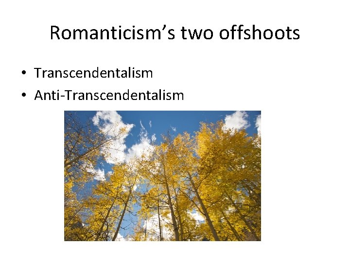 Romanticism’s two offshoots • Transcendentalism • Anti-Transcendentalism 