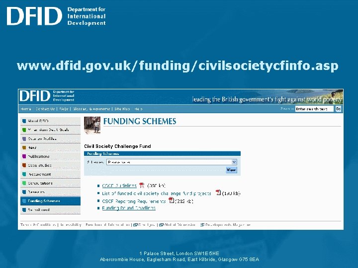 www. dfid. gov. uk/funding/civilsocietycfinfo. asp 1 Palace Street, London SW 1 E 5 HE