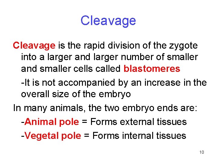 Cleavage is the rapid division of the zygote into a larger and larger number