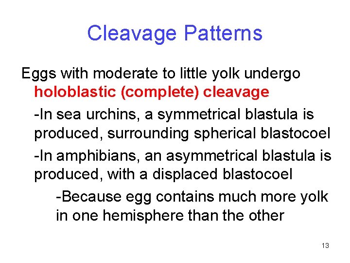 Cleavage Patterns Eggs with moderate to little yolk undergo holoblastic (complete) cleavage -In sea