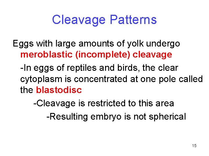 Cleavage Patterns Eggs with large amounts of yolk undergo meroblastic (incomplete) cleavage -In eggs