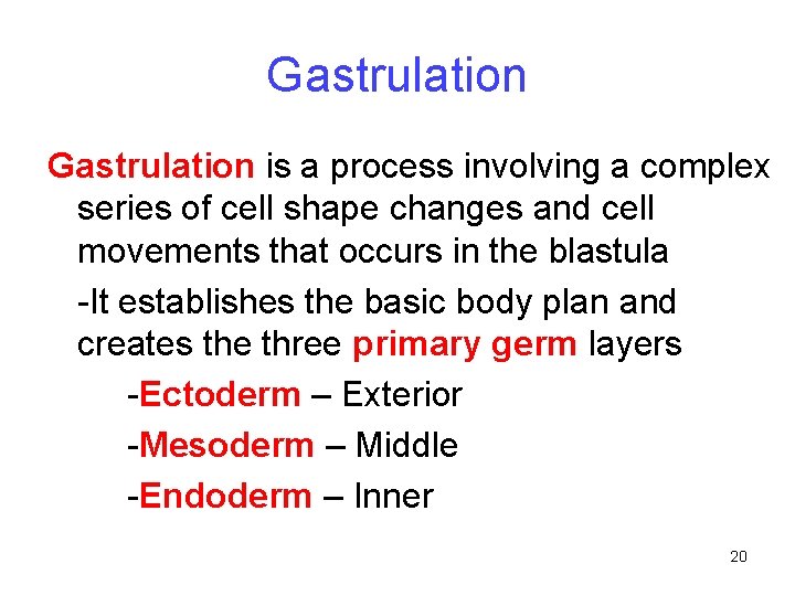 Gastrulation is a process involving a complex series of cell shape changes and cell