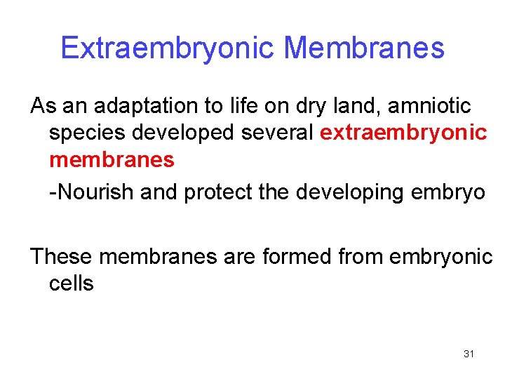 Extraembryonic Membranes As an adaptation to life on dry land, amniotic species developed several