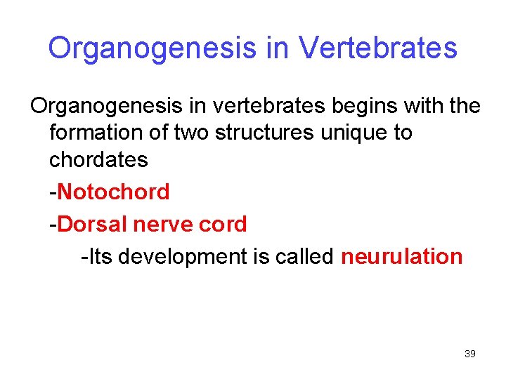 Organogenesis in Vertebrates Organogenesis in vertebrates begins with the formation of two structures unique