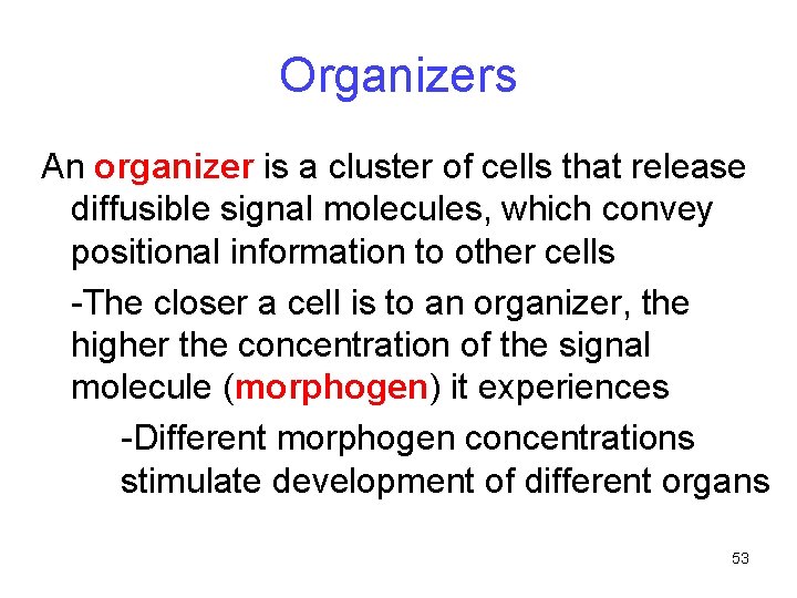 Organizers An organizer is a cluster of cells that release diffusible signal molecules, which
