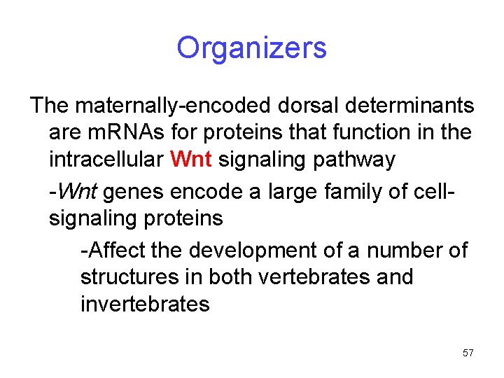 Organizers The maternally-encoded dorsal determinants are m. RNAs for proteins that function in the
