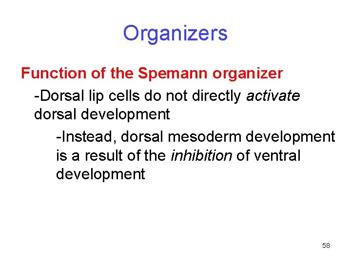 Organizers Function of the Spemann organizer -Dorsal lip cells do not directly activate dorsal