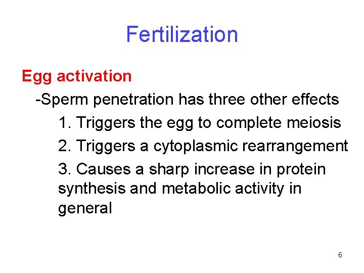 Fertilization Egg activation -Sperm penetration has three other effects 1. Triggers the egg to