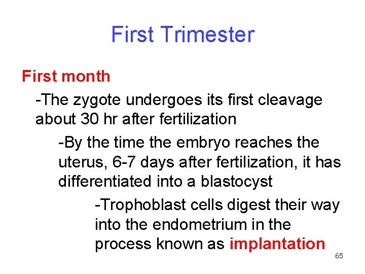 First Trimester First month -The zygote undergoes its first cleavage about 30 hr after