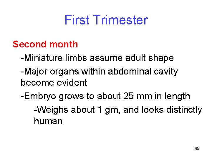 First Trimester Second month -Miniature limbs assume adult shape -Major organs within abdominal cavity