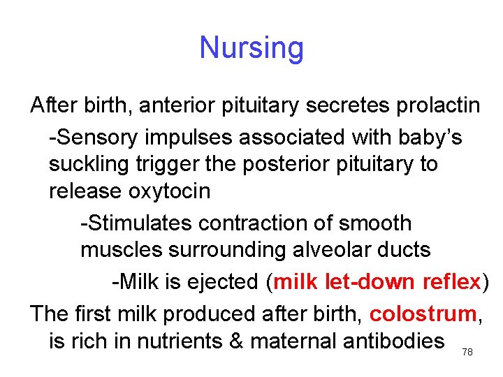 Nursing After birth, anterior pituitary secretes prolactin -Sensory impulses associated with baby’s suckling trigger