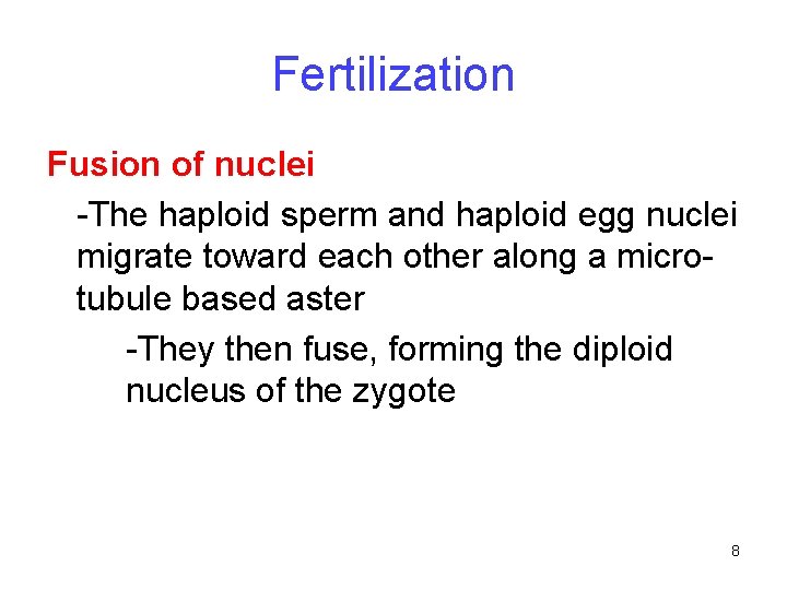 Fertilization Fusion of nuclei -The haploid sperm and haploid egg nuclei migrate toward each