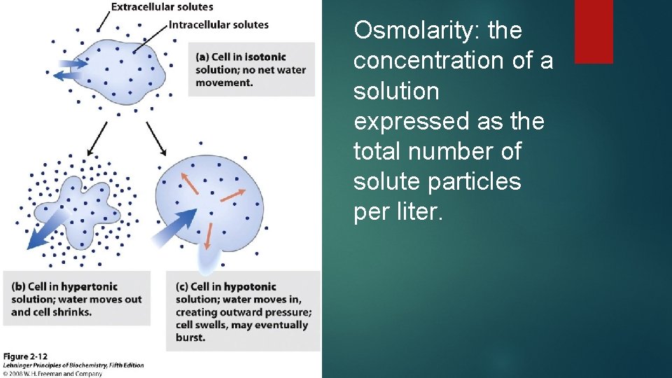 Osmolarity in the real world Osmolarity the concentration