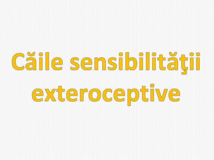 Căile sensibilităţii exteroceptive 