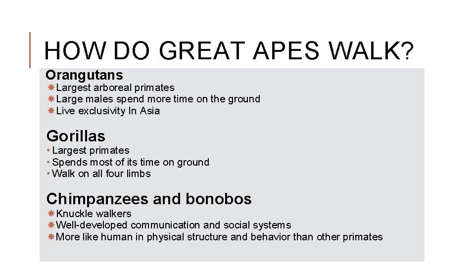 HOW DO GREAT APES WALK? Orangutans Largest arboreal primates Large males spend more time