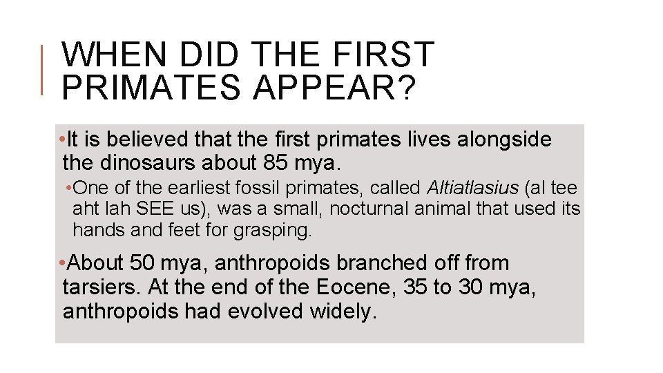 WHEN DID THE FIRST PRIMATES APPEAR? • It is believed that the first primates