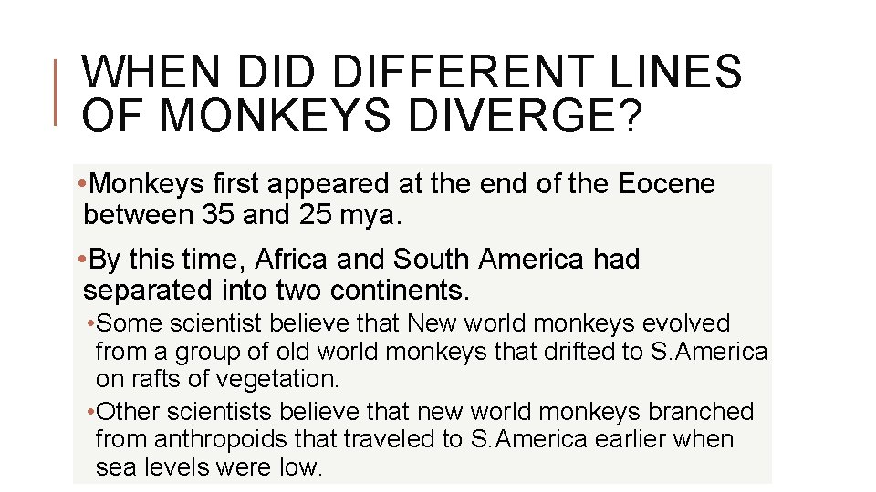 WHEN DID DIFFERENT LINES OF MONKEYS DIVERGE? • Monkeys first appeared at the end