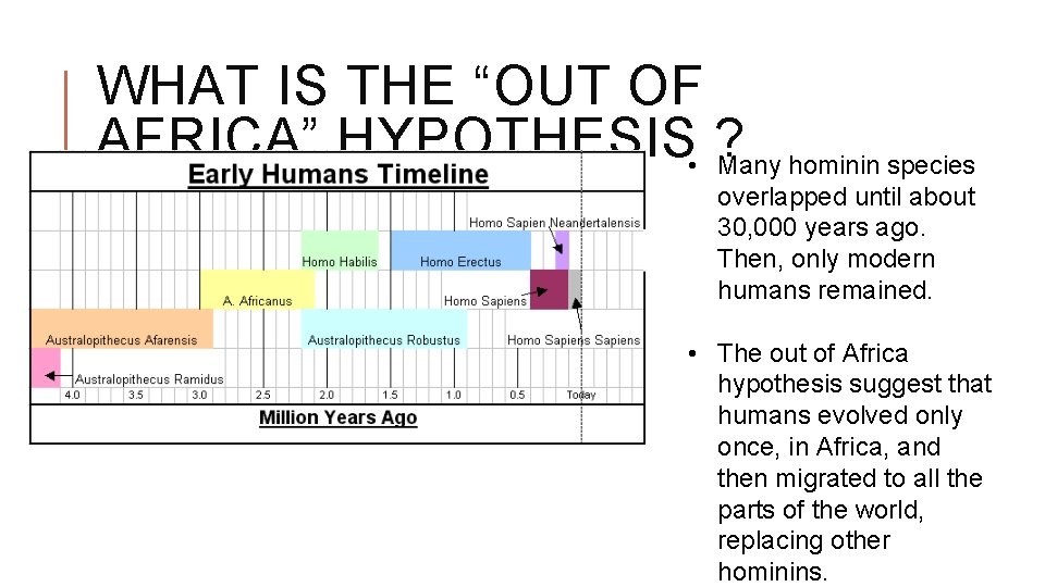 WHAT IS THE “OUT OF AFRICA” HYPOTHESIS • ? Many hominin species overlapped until