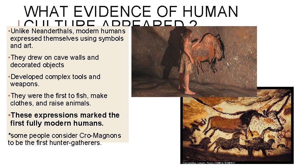 WHAT EVIDENCE OF HUMAN CULTURE ? • Unlike Neanderthals, modern APPEARED humans expressed themselves