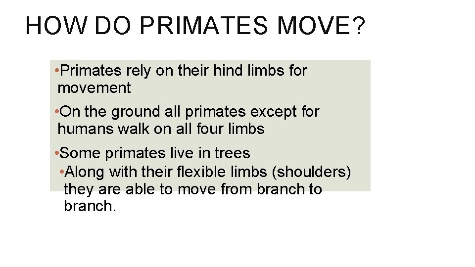 HOW DO PRIMATES MOVE? • Primates rely on their hind limbs for movement •