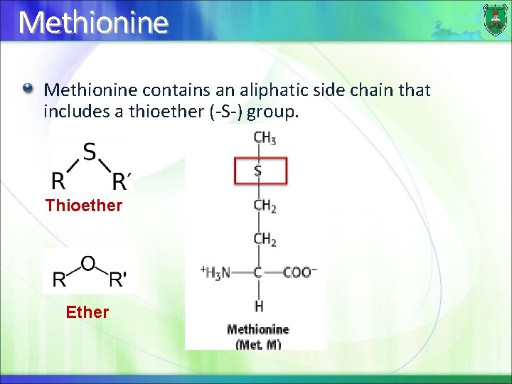 Methionine contains an aliphatic side chain that includes a thioether (-S-) group. Thioether Ether