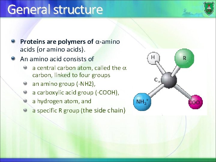 General structure Proteins are polymers of α-amino acids (or amino acids). An amino acid