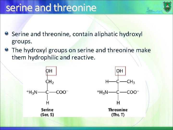 serine and threonine Serine and threonine, contain aliphatic hydroxyl groups. The hydroxyl groups on