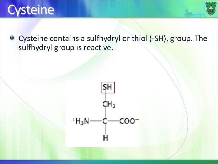 Cysteine contains a sulfhydryl or thiol (-SH), group. The sulfhydryl group is reactive. 