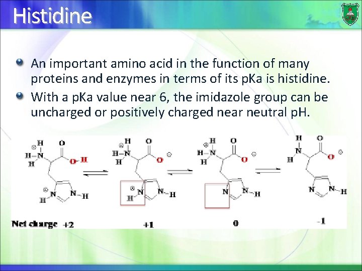 Histidine An important amino acid in the function of many proteins and enzymes in