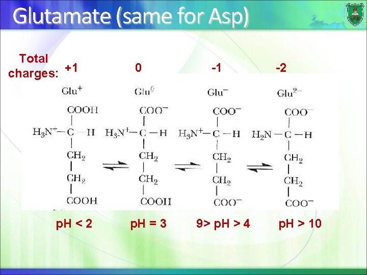 Glutamate (same for Asp) Total charges: +1 p. H < 2 0 p. H