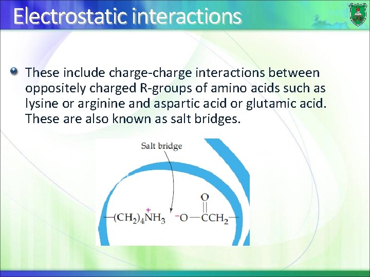 Electrostatic interactions These include charge-charge interactions between oppositely charged R-groups of amino acids such