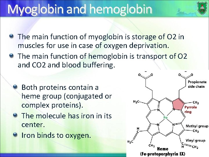 Myoglobin and hemoglobin The main function of myoglobin is storage of O 2 in