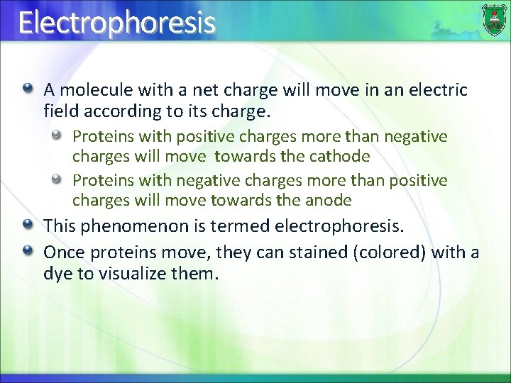 Electrophoresis A molecule with a net charge will move in an electric field according