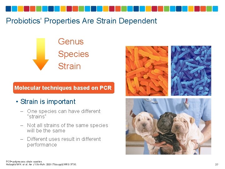 Probiotics’ Properties Are Strain Dependent Genus Species Strain Molecular techniques based on PCR •