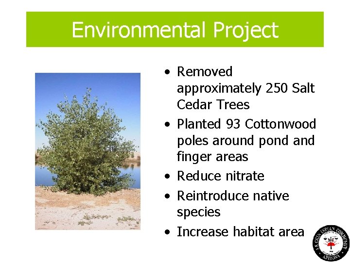 Environmental Project • Removed approximately 250 Salt Cedar Trees • Planted 93 Cottonwood poles