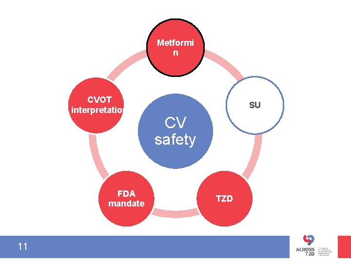 Metformi n CVOT interpretation FDA mandate 11 SU CV safety TZD 