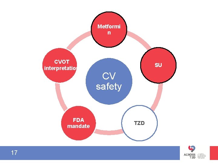 Metformi n CVOT interpretation FDA mandate 17 SU CV safety TZD 