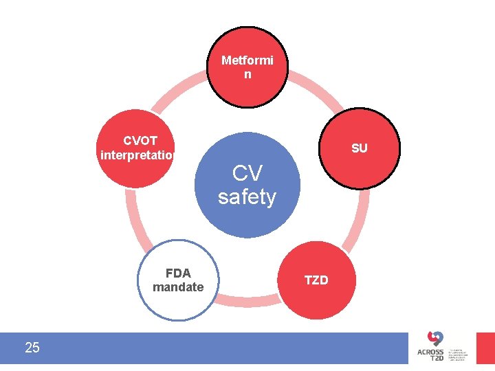 Metformi n CVOT interpretation FDA mandate 25 SU CV safety TZD 