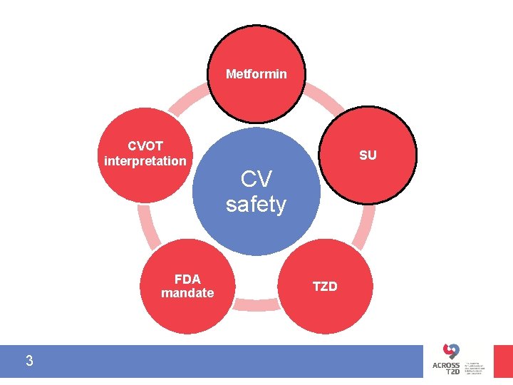 Metformin CVOT interpretation FDA mandate 3 SU CV safety TZD 