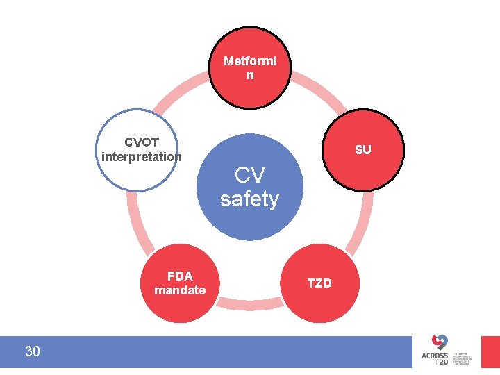 Metformi n CVOT interpretation FDA mandate 30 SU CV safety TZD 