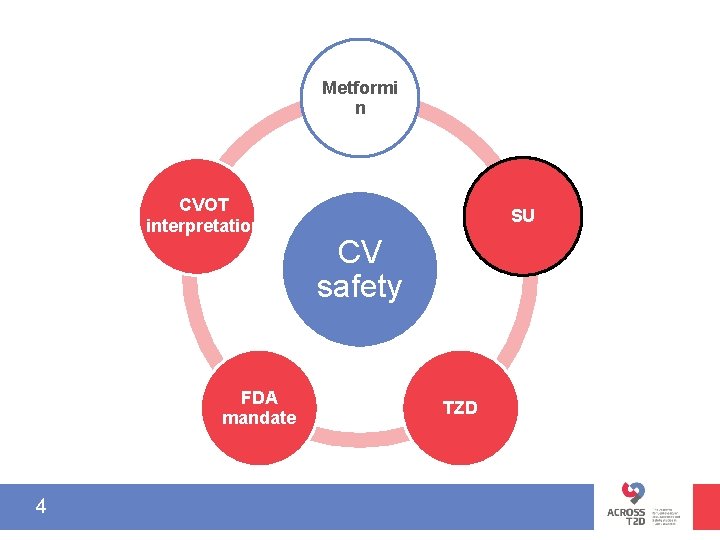 Metformi n CVOT interpretation FDA mandate 4 SU CV safety TZD 
