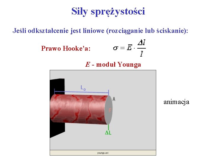 Siły sprężystości Jeśli odkształcenie jest liniowe (rozciąganie lub ściskanie): Prawo Hooke’a: E - moduł