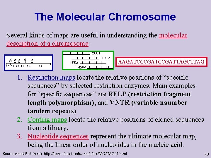 The Molecular Chromosome Several kinds of maps are useful in understanding the molecular description
