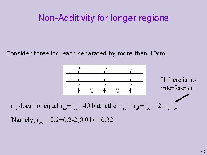 Non-Additivity for longer regions Consider three loci each separated by more than 10 cm.