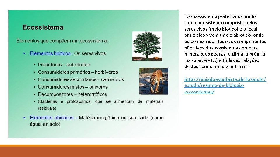 “O ecossistema pode ser definido como um sistema composto pelos seres vivos (meio biótico)