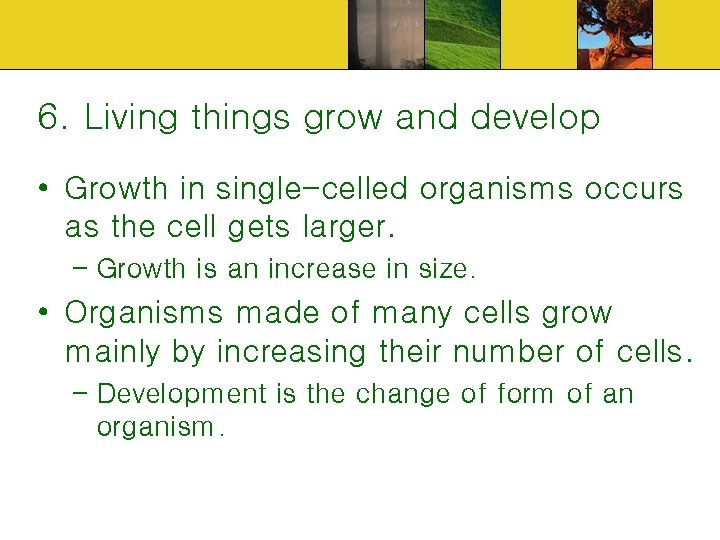 6. Living things grow and develop • Growth in single-celled organisms occurs as the