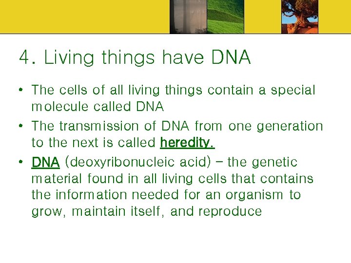 4. Living things have DNA • The cells of all living things contain a